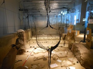 Herne - Museum für Archäologie_14_04_020